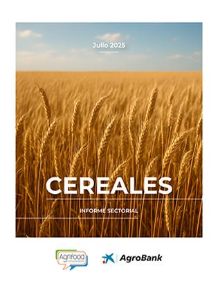 Informe sectorial - Cereales (Julio/2025)