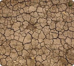 Cambio Clim&aacute;tico y Agricultura: hacia una producci&oacute;n de alimentossostenible