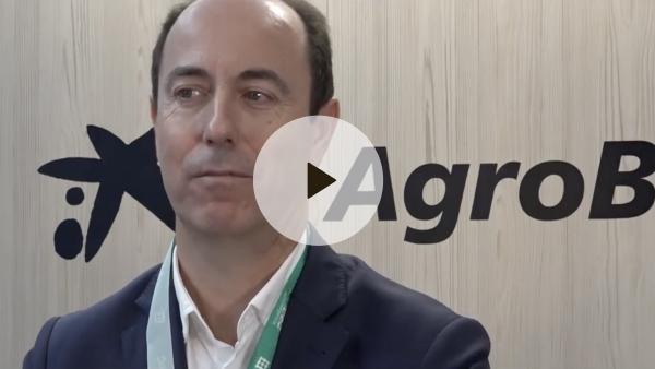 Jos&eacute; Luis Estrella - Tecnova