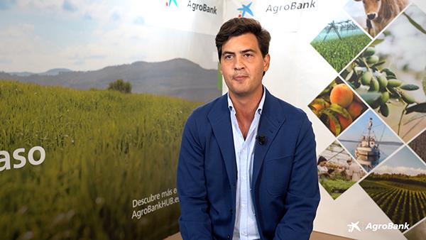 BOVISA - JOSE HERN&Aacute;NDEZ