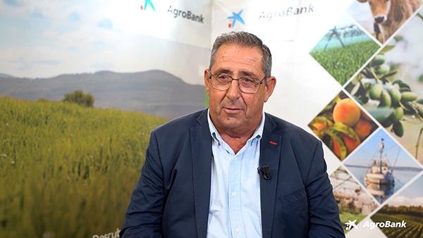 FRANCISCO ROM&Aacute;N - GESALOR